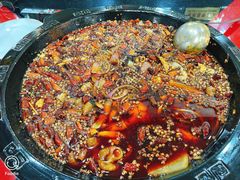 -烧哥美蛙肥肠鱼火锅·十五年社区店