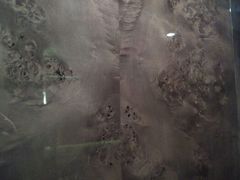 android_upload_pic-广州天河希尔顿酒店