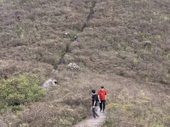-大围山国家森林公园