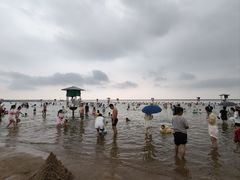 -碧海金沙