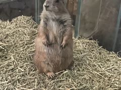 -海合安武汉极地海洋公园