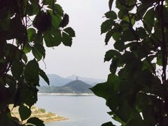 -望湖烤鱼