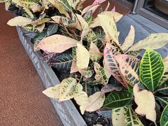 -中国工商银行(南京西路支行)