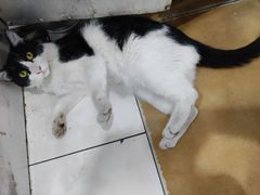 -华兴街自力面店