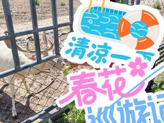 -哈尔滨北方森林动物园