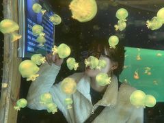 -多彩贵州城极地海洋世界