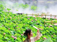 -广州莲花山旅游区