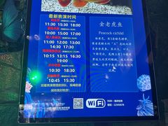 -合肥海洋世界