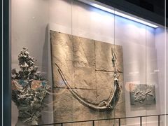 -长江文明馆