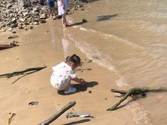 -温岭石塘海边