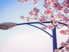 -南京林业大学-图书馆
