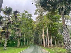 -中国科学院西双版纳热带植物园
