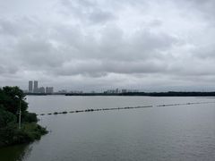 -金银湖国家城市湿地公园