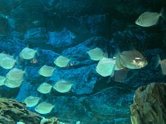 -秦皇岛新澳海底世界