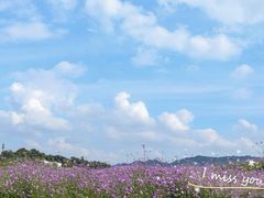 -光明小镇欢乐田园