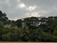 -金鸡山公园