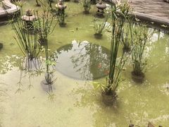 -丰都鬼城名山景区