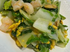 -船歌·鱼水饺青岛菜(太阳宫凯德MALL店)