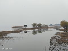 -苏州太湖国家湿地公园