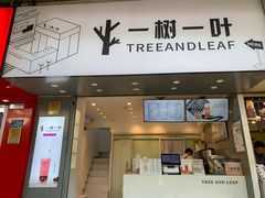 门面-一树一叶·福建茶档(石鼓路店)