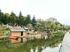 -映月湖公园