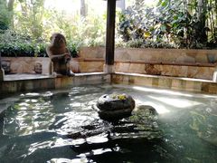 -厦门日月谷温泉渡假村