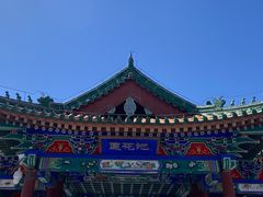 -莲花池公园