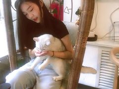 -平行世界·猫咖(首经贸店)