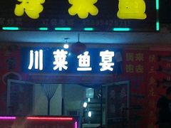 -煲来饱去冷水鱼