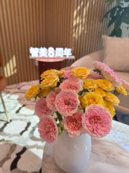 -智美品质医美