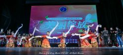 天津民族舞培训天津古典舞培训教学-天津拉丁舞培训中心