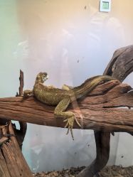 -Zoolung Zoolung动物主题公园(海信广场店)