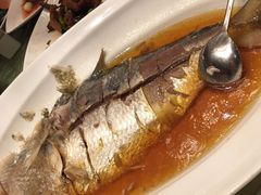 清蒸鲥鱼-上海小南国(仲盛世界商城店)