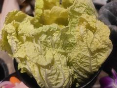 -三人行骨头王火锅(长寿店)