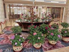 大堂-洛阳国际大酒店-香榭丽舍西餐厅