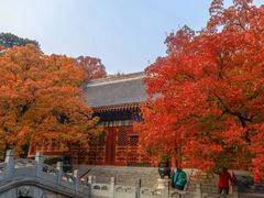 -香山公园