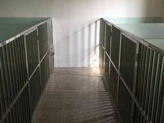 干净吧-鑫艺宠物美容培训学校