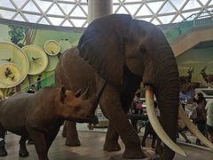 -陕西自然博物馆