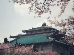 -武汉大学-樱园