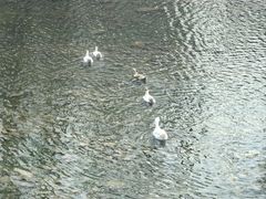 -星河湾温泉洗浴酒店