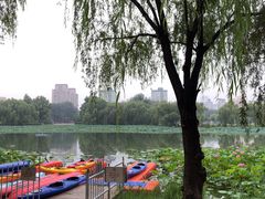 -WhaleSports户外水上运动俱乐部(朝阳公园店)