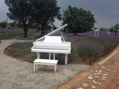 iphone_upload_pic-密云玫瑰情园