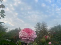 -人民公园(罗湖区)