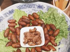 -鸽子窝(青塔店)