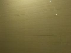 -维也纳国际酒店·广州南站钟村地铁站店