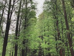 -广州市帽峰山景区