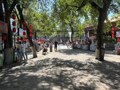 -哈尔滨文化公园