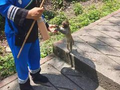 -广西龙虎山风景区