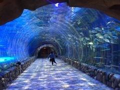 -华夏文旅海洋公园