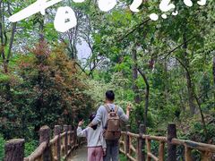 -青龙山国家森林公园